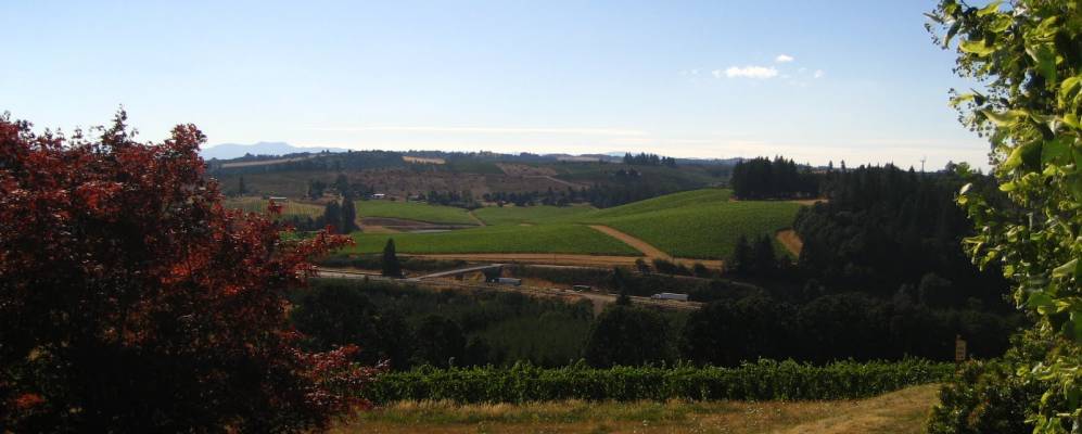 
            Фотография Тернера