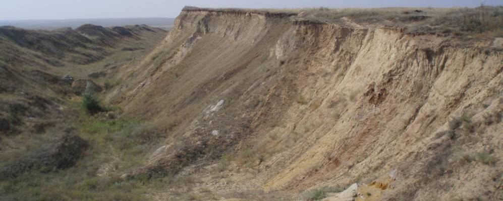 
            Фотография Сборного