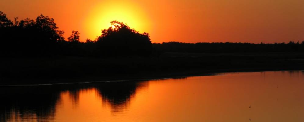 
            Фотография Переселенцы