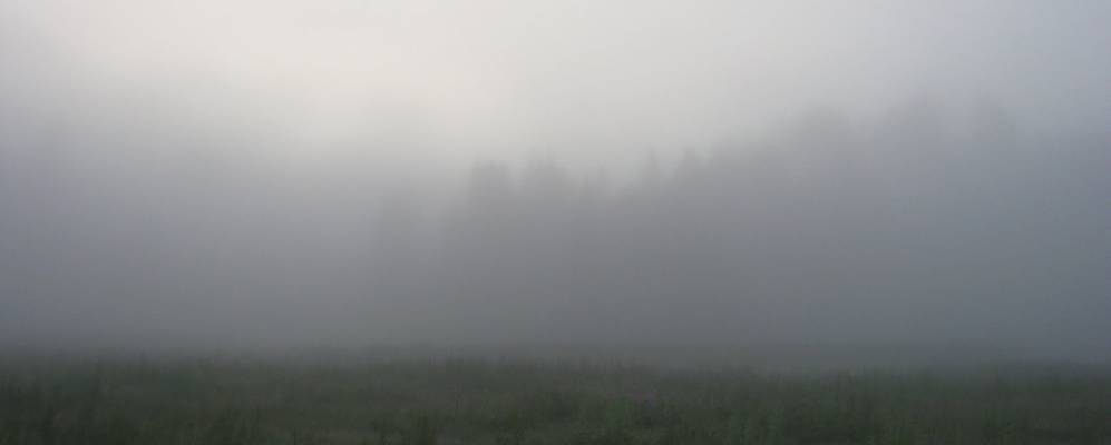 
            Фотография Заречного Пешнигорта