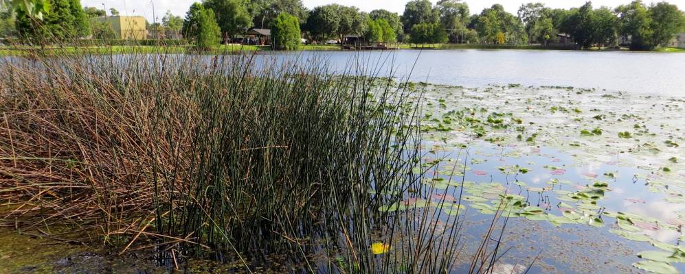 
            Фотография Касселберрай