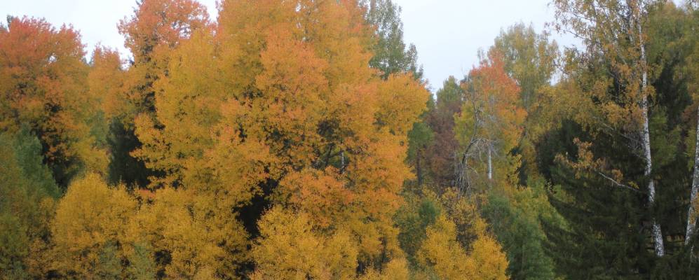 
            Фотография Первомайского