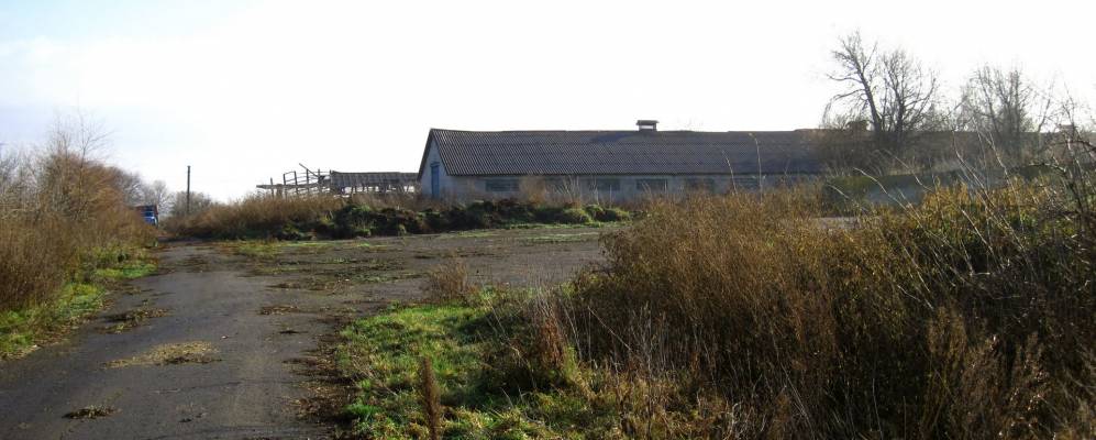 
            Фотография Зеленолужного