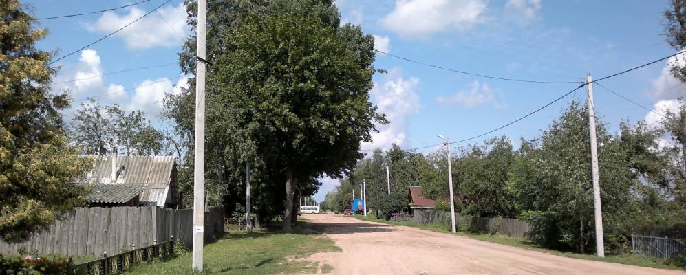 Фотография дервни Ёлки