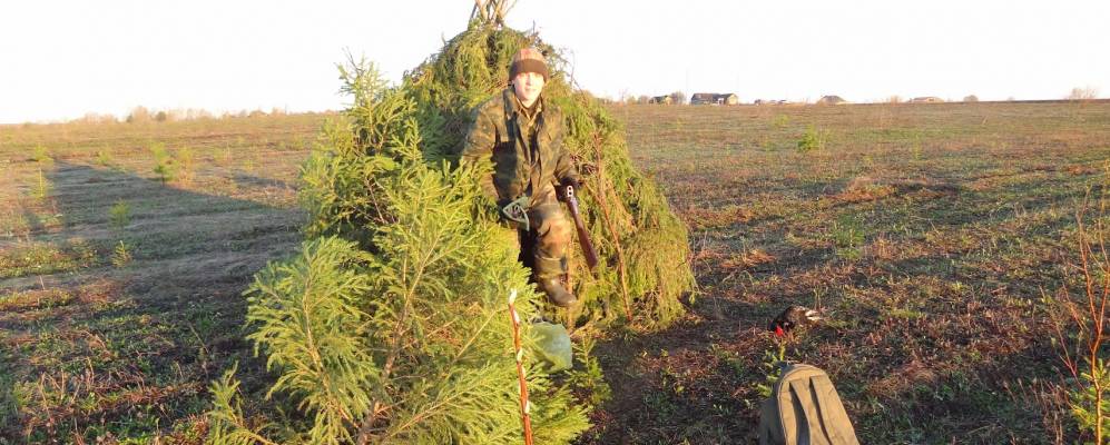 
            Фотография Кленного