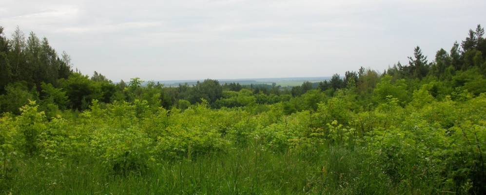 
            Фотография Клинца