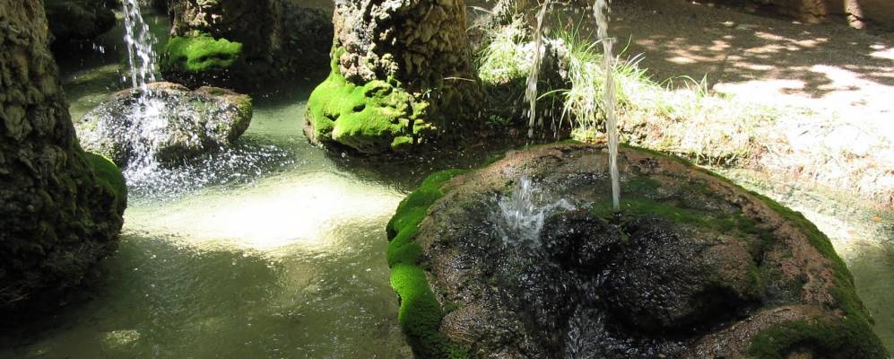 
            Фотография Харабы