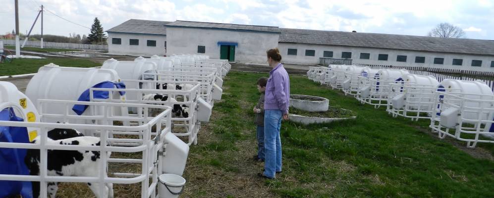 
            Фотография Победы