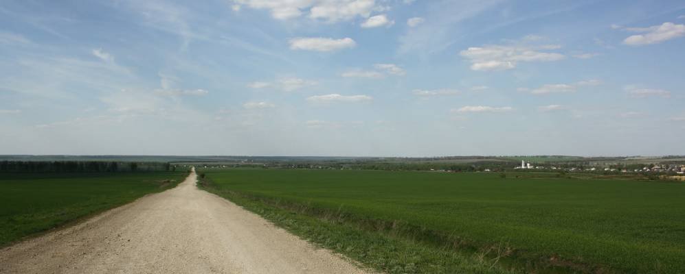 
            Фотография Дона