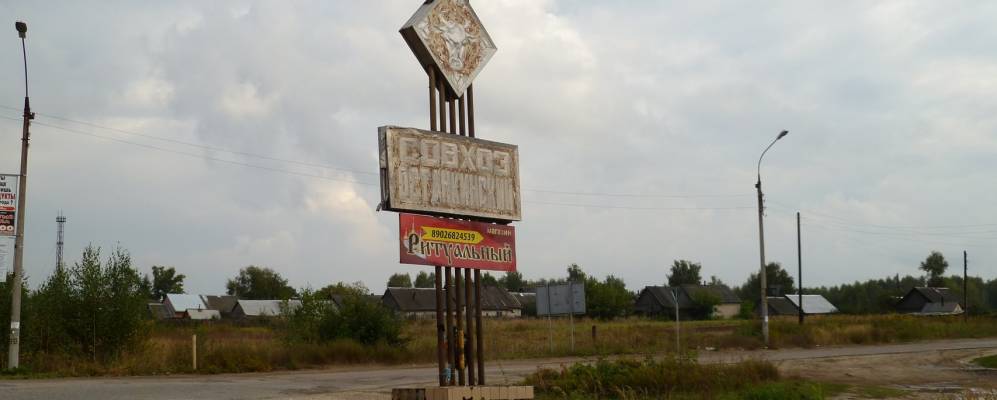 
            Фотография Пионерского