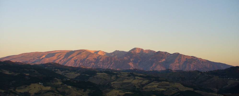 
            Фотография Бомбы