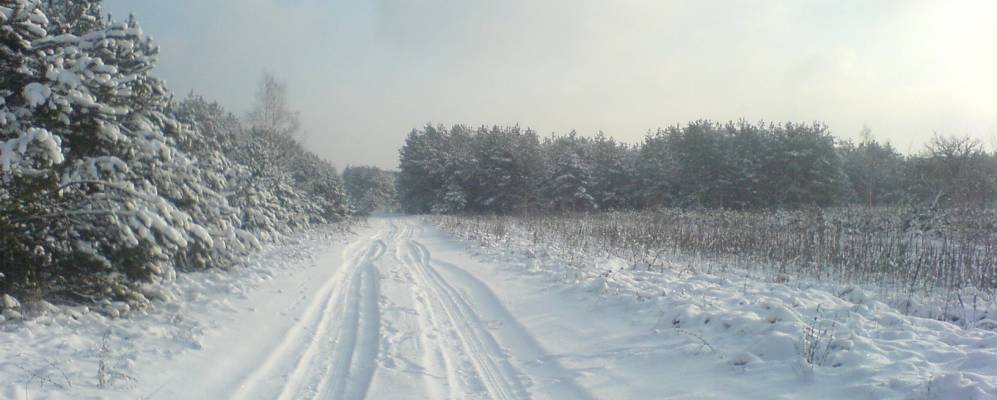 Фотография Коренёвки