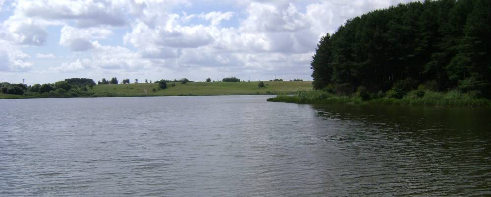 
            Фотография Волохей