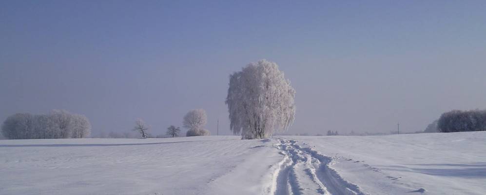 
            Фотография Приречья
