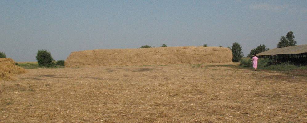 
            Фотография Новой