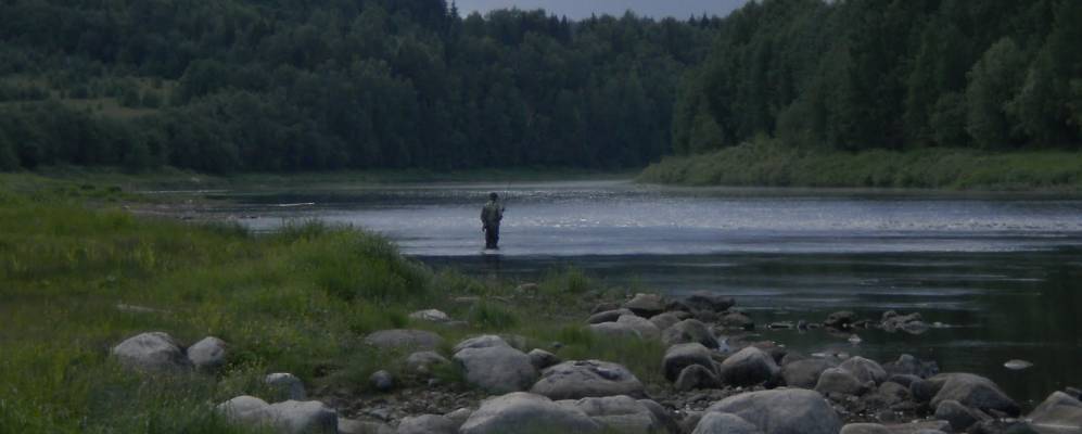 
            Фотография Плесевской