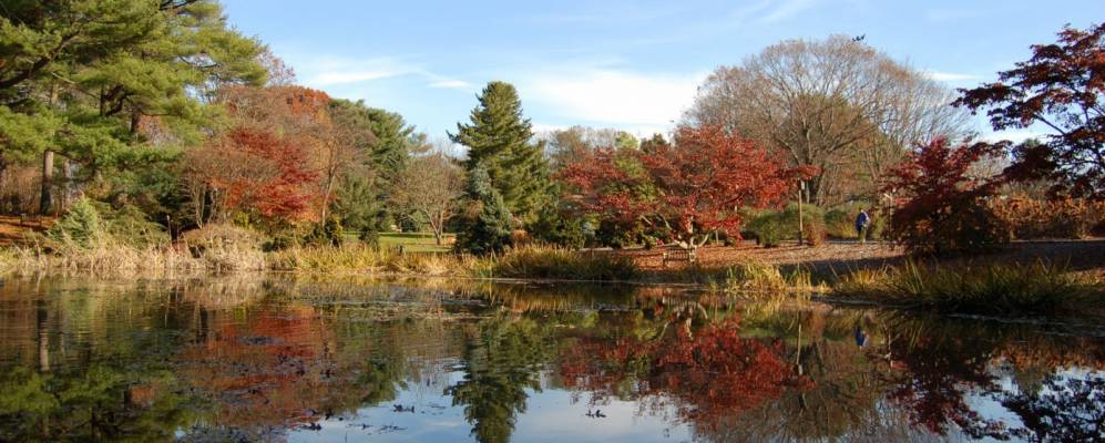 
            Фотография Олбертсона