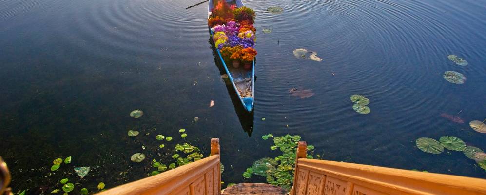 
            Фотография Нагин Ба