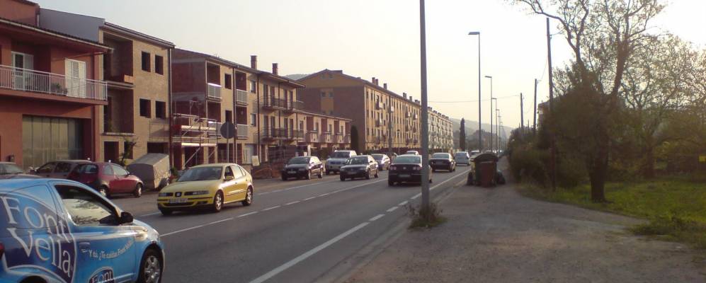 
            Фотография Сельры