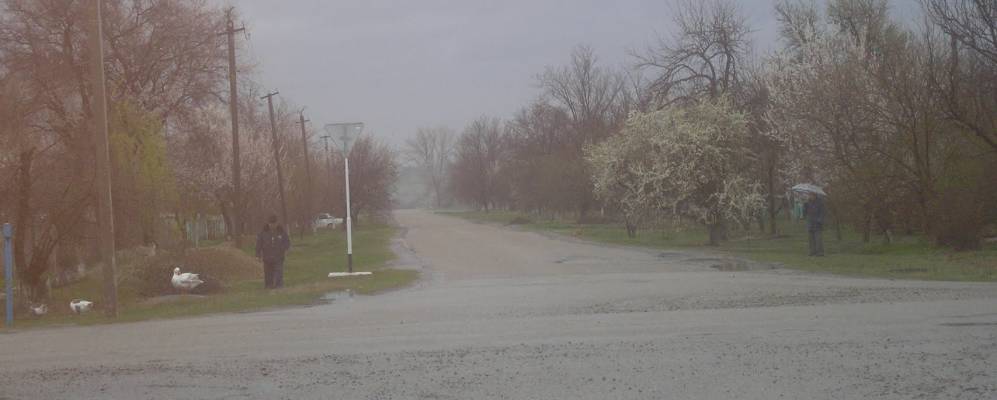 
            Фотография Расцвета