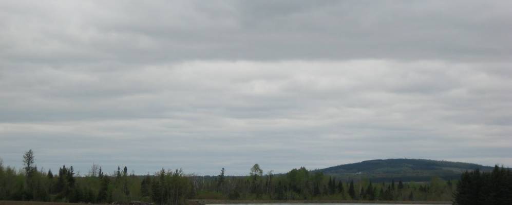 
            Фотография Маплетона