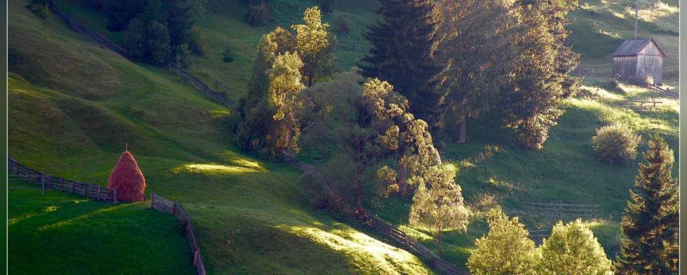 
            Фотография Стациунеа Борши