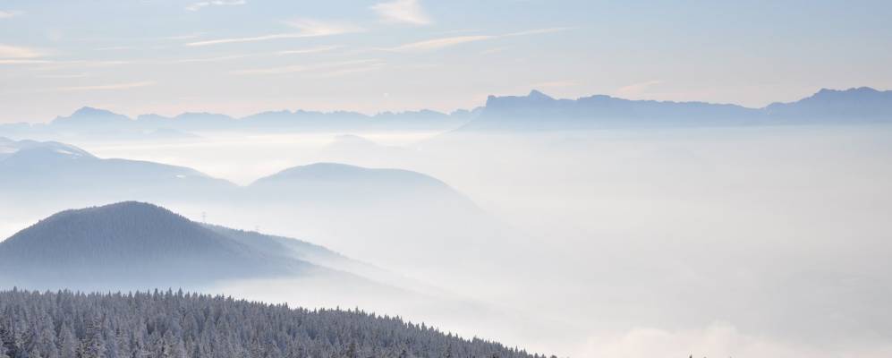 
            Фотография Шамруса