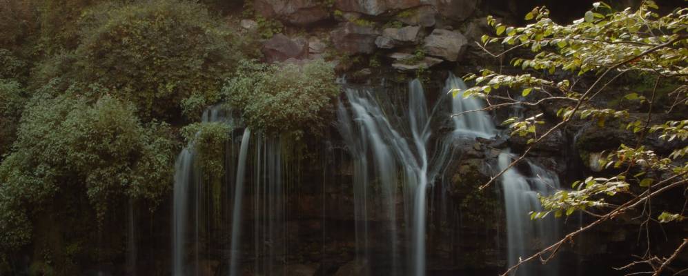 
            Фотография Акрона