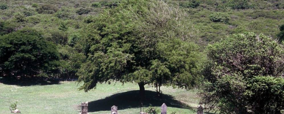 
            Фотография Six Roads