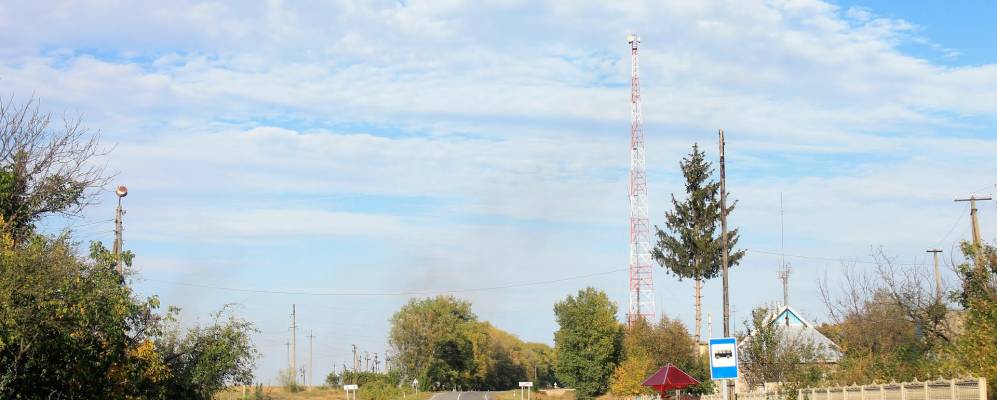 
            Фотография Логвина