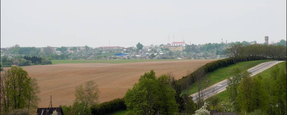 
            Фотография деревни Волковичи
