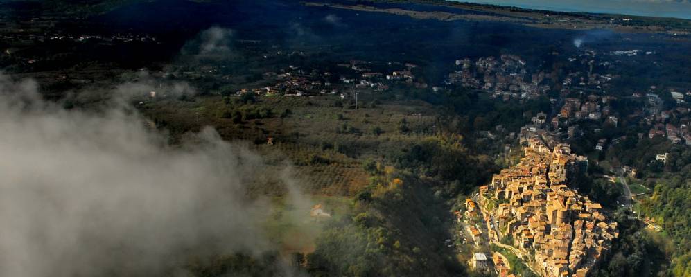 
            Фотография Капраникы