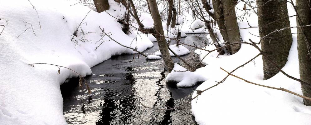 Фотография Дмитриевки