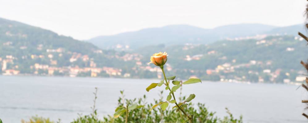 
            Фотография Ранко