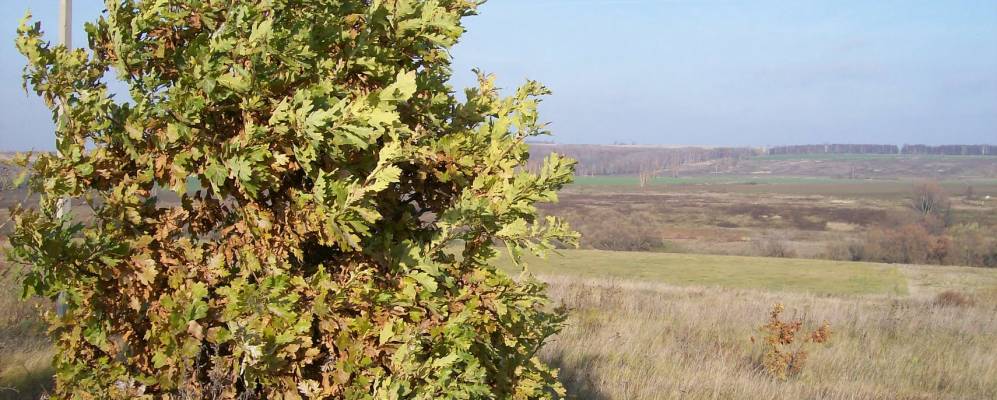 Фотография Чириково