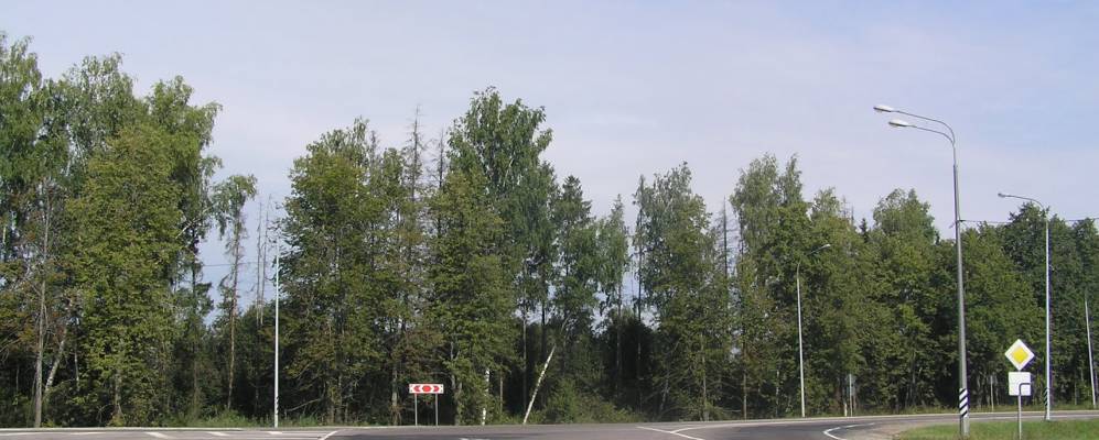 Фотография деревни Новинцы