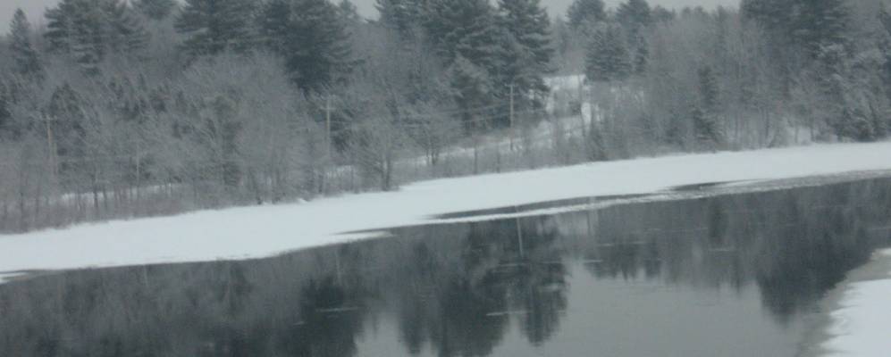 
            Фотография Медвей