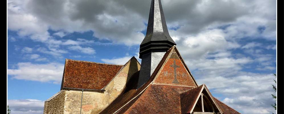 
            Фотография Расин