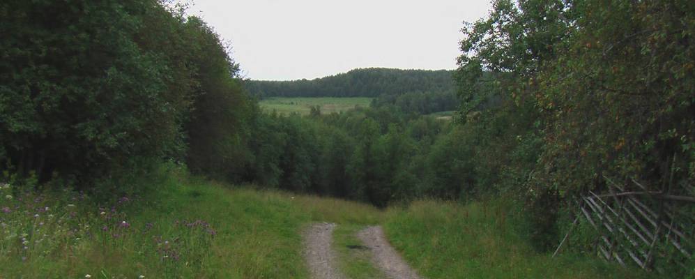 
            Фотография Григорьевской