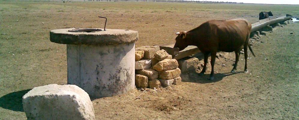 
            Фотография Дружелюбовки