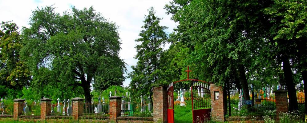 
            Фотография Липиной