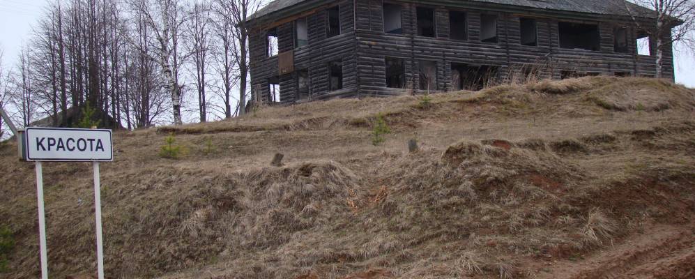 
            Фотография Шонорово