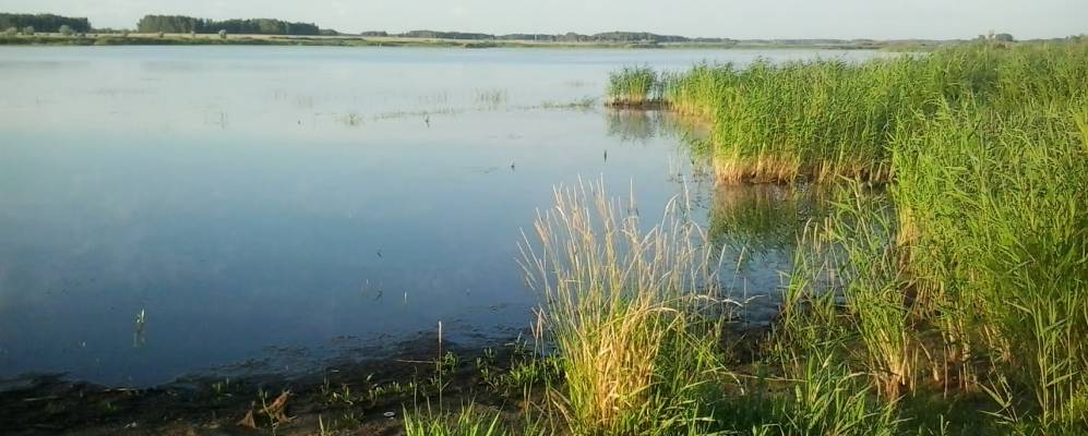 
            Фотография Гирьяла