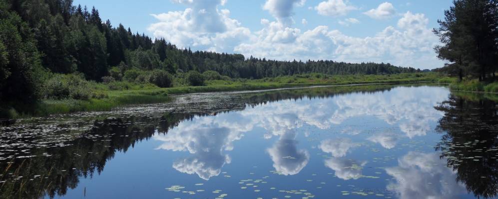 
            Фотография Подсосонья