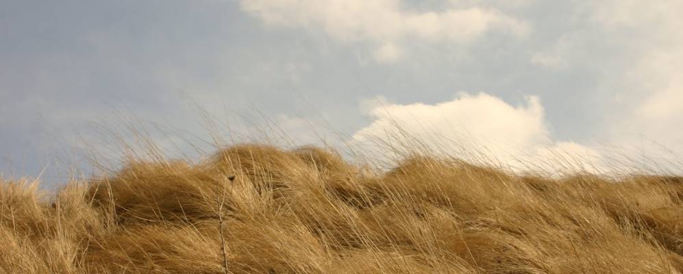 
            Фотография Иглетон Вилидж