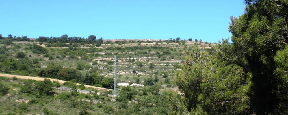 
            Фотография Вальфогона-де-Риукорб