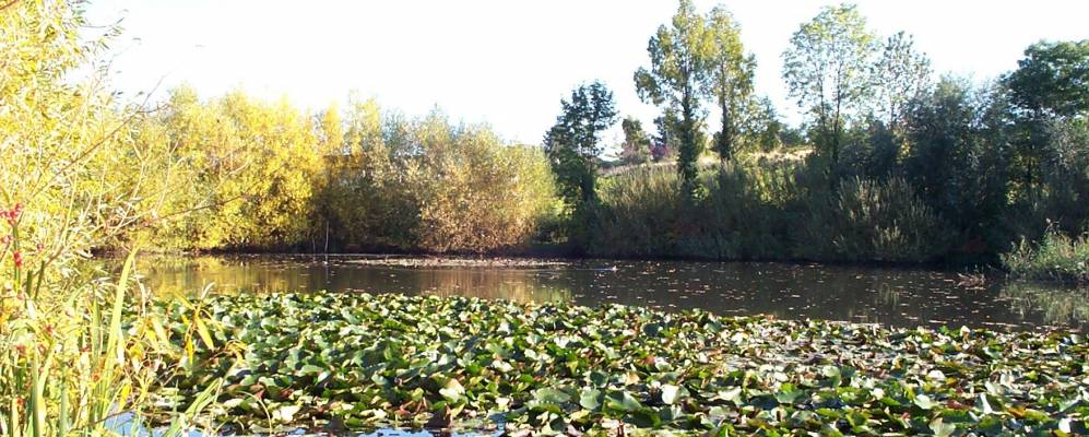 
            Фотография Кальштадт 