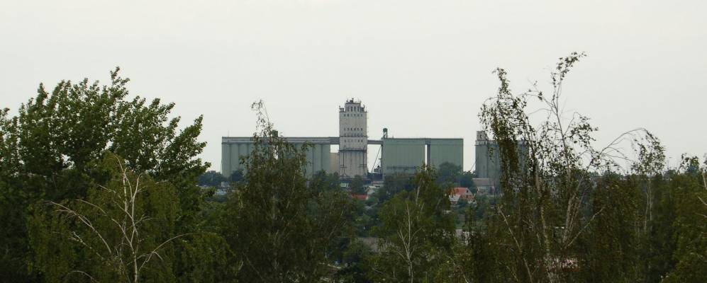 Фотография Зеленого