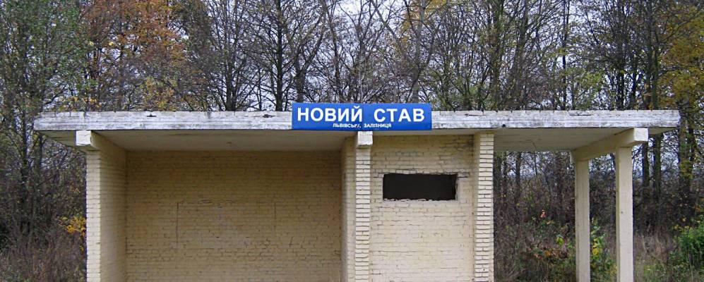 
            Фотография Честыни