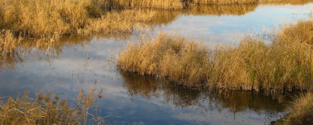 Фотография Садового